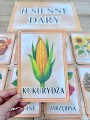 Dary Jesieni - Plansze z ilustracjami i napisami