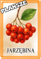 Dary Jesieni - Plansze z ilustracjami i napisami  