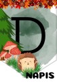 Dzień Jeża- Pakiet Materiałów