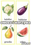 Plansze z Ilustracjami - Owoce i Warzywa