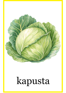 Plansze z Ilustracjami - Owoce i Warzywa