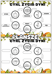 Dzień Dyni- Budowa i Cykl Życia Dyni   