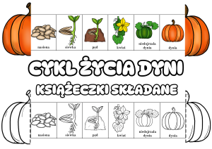 Dzień Dyni- Cykl Życia Dyni -Książeczka Składna
