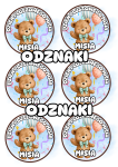 Dzień Pluszowego Misia- Odznaki WZÓR 3