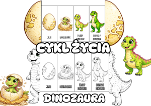Cykl Życia Dinozaura - Książeczki Rozkładane Kolorowe / Biało Czarne - Dzień Dinozaura (1)