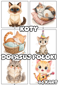 Dzień Kota - Dopasuj Połówki