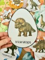 Jaja Dinozaura ( wersja kolorowa ) - Dzień Dinozaura 
