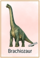 Dinozaury - Plansze z Ilustracjami i nazwami - Dzień Dinozaura