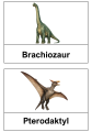 Dopasuj Nazwy Dinozaurów - Dzień Dinozaura 