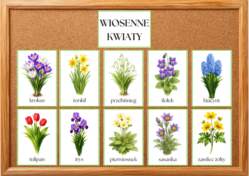 Wiosenne Kwiaty - Plansze - Wiosna