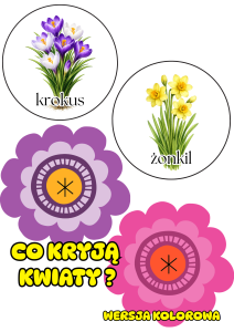 Co Kryje Kwiatek ?  - ( wersja kolorowa )  - Wiosna 