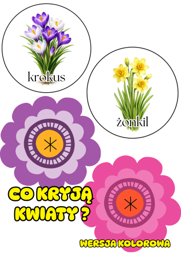 Co Kryje Kwiatek ?  - ( wersja kolorowa )  - Wiosna 