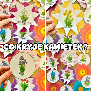 Co Kryje Kwiatek ?  WIOSENNE KWIATY  - ( wersja kolorowa )  - Wiosna 