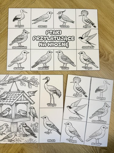 Ptaki Przylatujące na Wiosnę - Wklejka / Książeczka Składana - Wiosna 