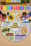 Cykl Życia - Koło  Kolorowanka XXL ( wersja 7 ) - Dzień Pszczoły 