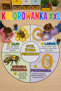 Cykl Życia - Koło  Kolorowanka XXL ( wersja 7 ) - Dzień Pszczoły 