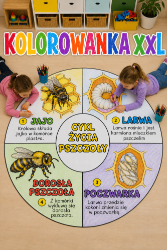 Cykl Życia - Koło  Kolorowanka XXL ( wersja 7 ) - Dzień Pszczoły 