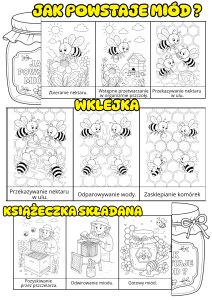 Jak Powstaje Miód - Książeczka Składana/ Wklejka