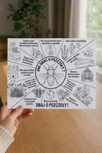 Jak Dbać o Pszczoły - Kolorowanka A4/ Wklejka - Dzień Pszczoły
