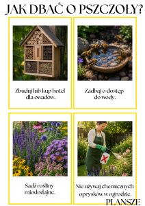Jak Dbać o Pszczoły - Plansze- Dzień Pszczoły 