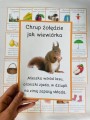 Jesienne Karty Ruchowe z Zagadkami - Jesień 