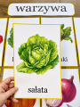 Owoce i Warzywa - Plansze z Ilustracjami   