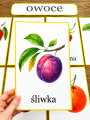 Owoce i Warzywa - Plansze z Ilustracjami   