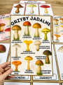 Grzyby - Plansze z ilustracjami i napisami 
