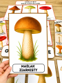 Grzyby - Plansze z ilustracjami i napisami  