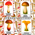 Grzyby - Plansze z ilustracjami i napisami  