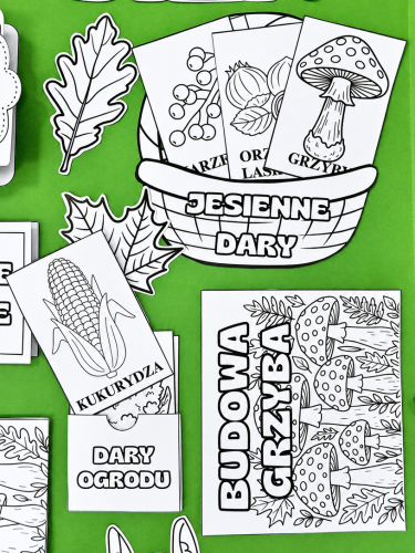 Jesień  Lapbook  / Jesienny Lapbook