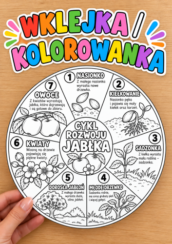 Cykl Rozwoju Jabłka - wklejka / kolorowanka A4 ( wzór 1) - Dzień Jabłka