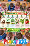 Cykl Rozwoju Jabłka - Plakat XXL - Dzień Jabłka 