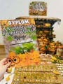 Dzień Dyni- Kącik Zabaw/ Ćwiczeń