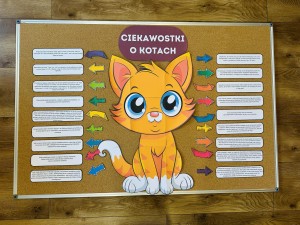 Dzień Kota - Ciekawostki 