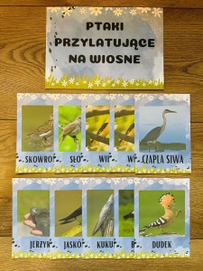 Pierwszy Dzień Wiosny/ Wiosna - Ptaki przylatujące - Plansze