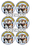 Dzień Kota- Odznaki 1