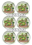 Dzień Dinozaura - Odznaki/ Medale