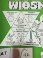 Wiosna/ Pierwszy Dzień Wiosny - LAPBOOK o wiośnie