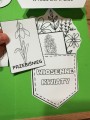 Wiosna/ Pierwszy Dzień Wiosny - LAPBOOK o wiośnie  