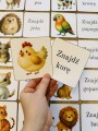 Zwierzęta- Znajdź na obrazku - opis 
