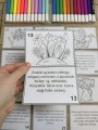 Pierwszy Dzień Wiosny/ Wiosna- Kolorowanie według opisu  