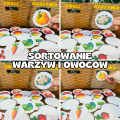 Wiosna - Warzywa i Owoce - Sortowanie do koszyków