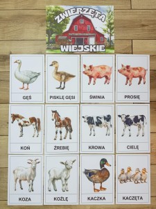 Na Wsi/ Farma/ Zwierzęta Wiejskie - Na Wsi - Plansze z Ilustracjami zwierzat