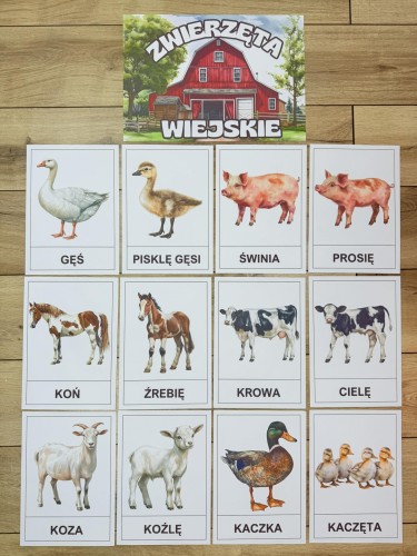 Na Wsi/ Farma/ Zwierzęta Wiejskie - Na Wsi - Plansze z Ilustracjami zwierzat