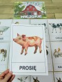 Na Wsi/ Farma/ Zwierzęta Wiejskie - Na Wsi - Plansze z Ilustracjami zwierzat