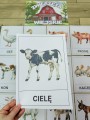 Na Wsi/ Farma/ Zwierzęta Wiejskie - Na Wsi - Plansze z Ilustracjami zwierzat