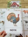 Na Wsi/ Farma/ Zwierzęta Wiejskie - Na Wsi - Plansze z Ilustracjami zwierzat