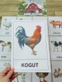 Na Wsi/ Farma/ Zwierzęta Wiejskie - Na Wsi - Plansze z Ilustracjami zwierzat