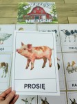 Na Wsi/ Farma/ Zwierzęta Wiejskie - Na Wsi - Plansze z Ilustracjami zwierzat 